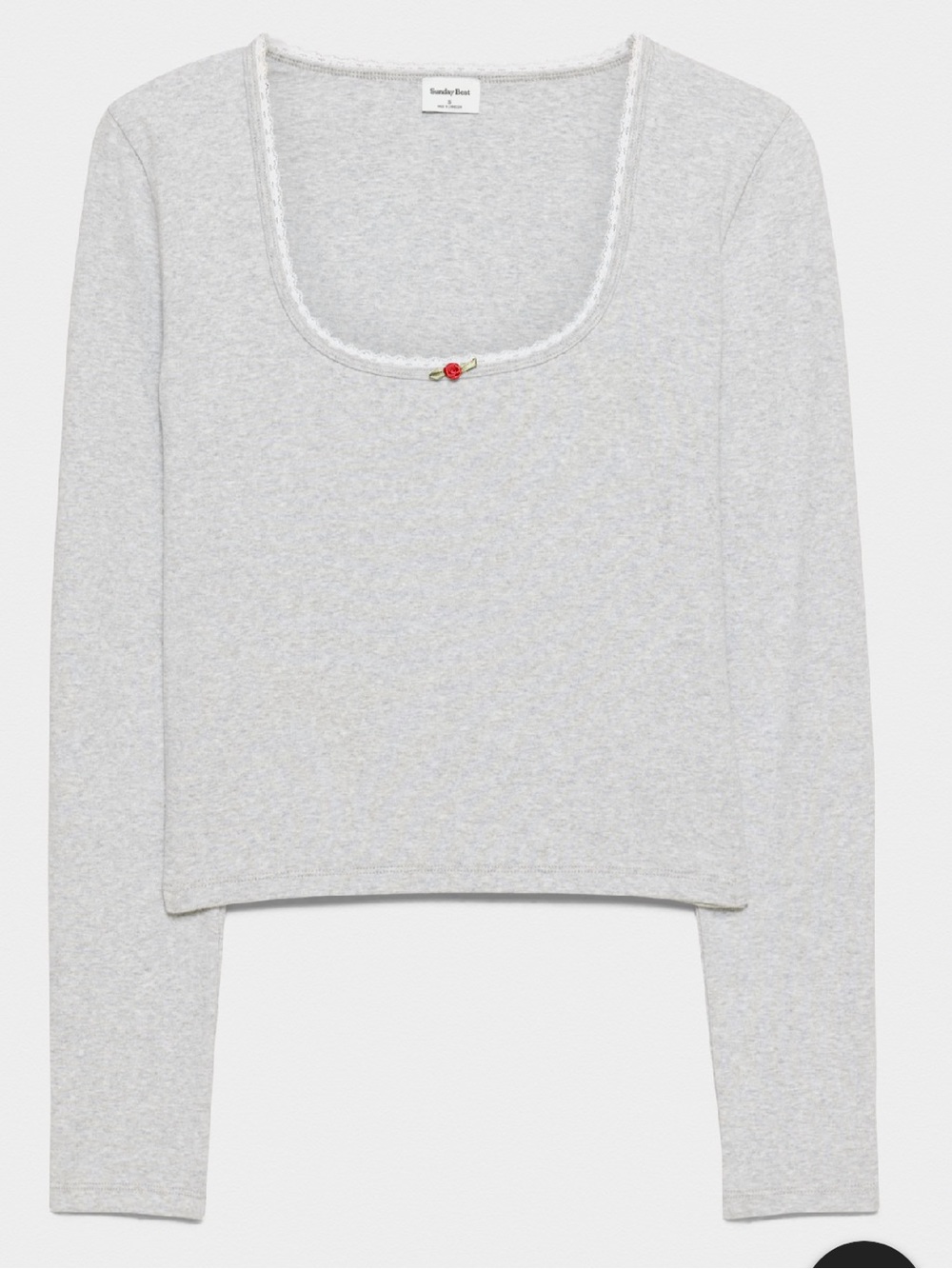 Aritzia Sunday Best Besthug Shortcake Longsleeve Tee L